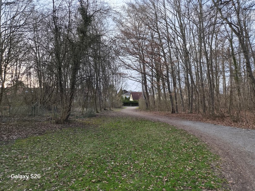 Samsung Galaxy S26 - Originalaufnahmen