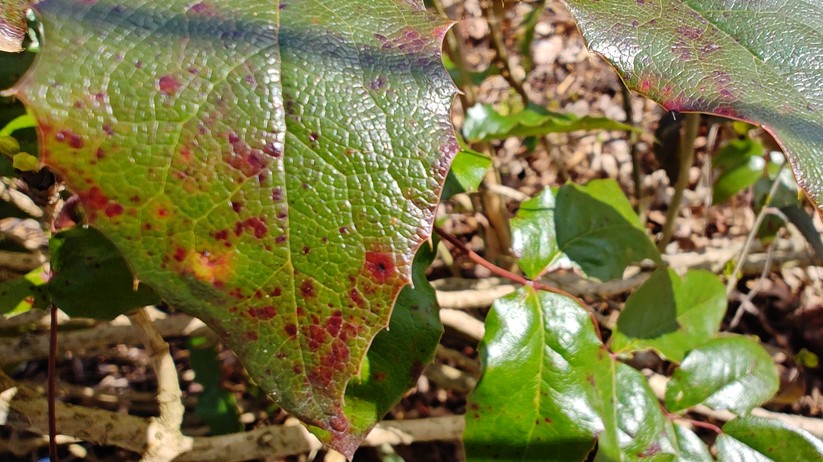 Motorola Edge 40 Pro - Originalaufnahmen