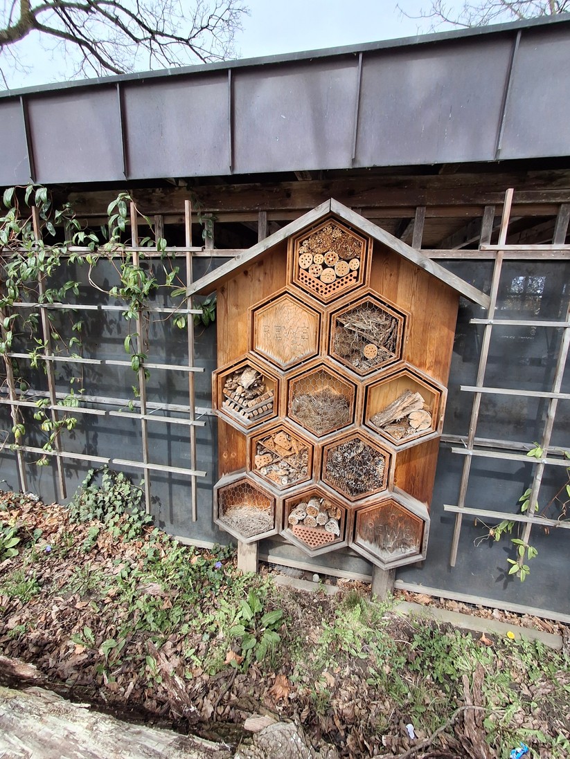 Samsung Galaxy A35 – Originalaufnahmen