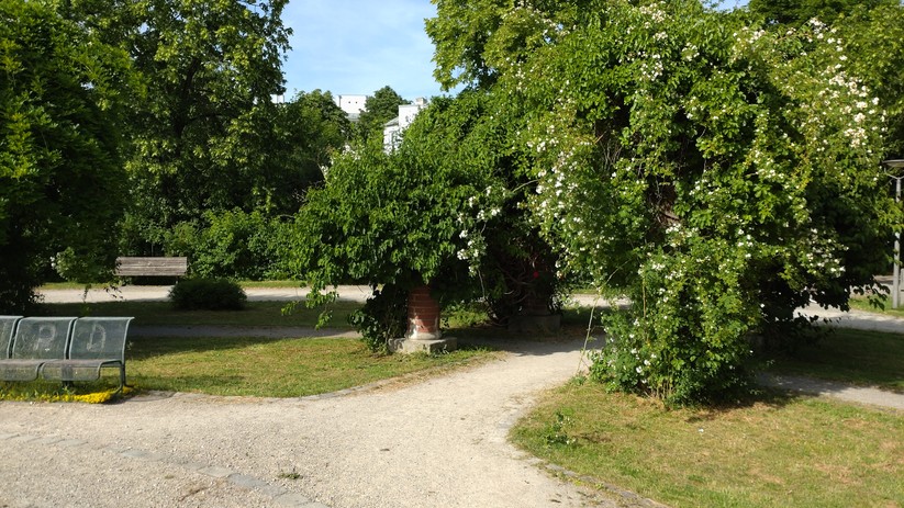 Fotos des Sony Xperia 10 III