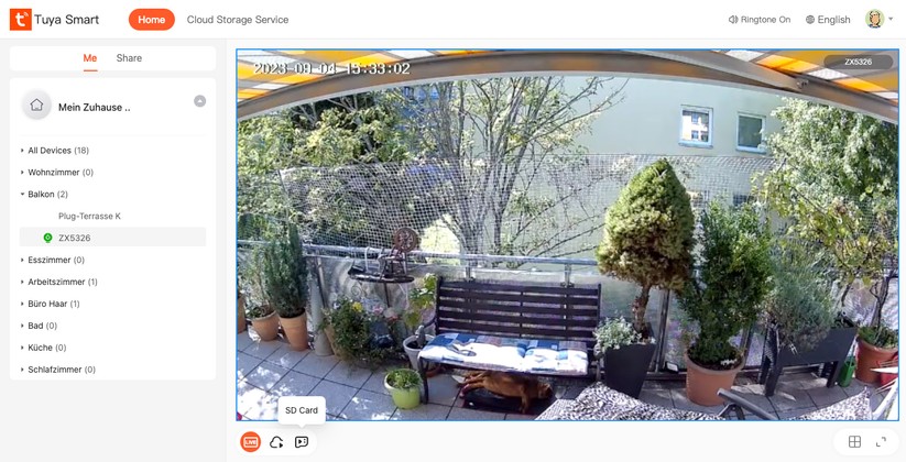 Visortech Floodlight Cam ZX-5326: Zugriff per Browser über https://protect-eu.ismartlife.me/ 
