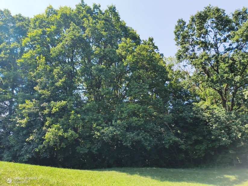  Hauptkamera