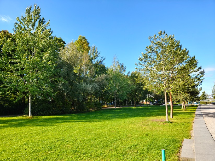 Realme 14 Pro+ 5G - Originalaufnahmen