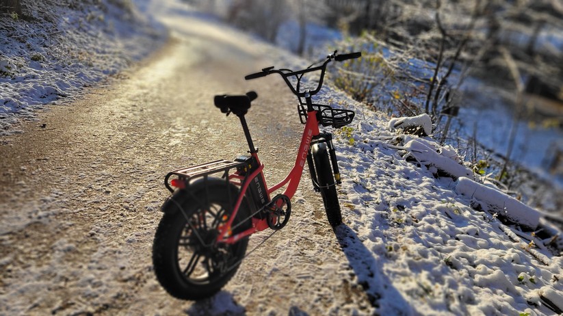  E-Bike mit Tiefeinstieg und Fat Tyres