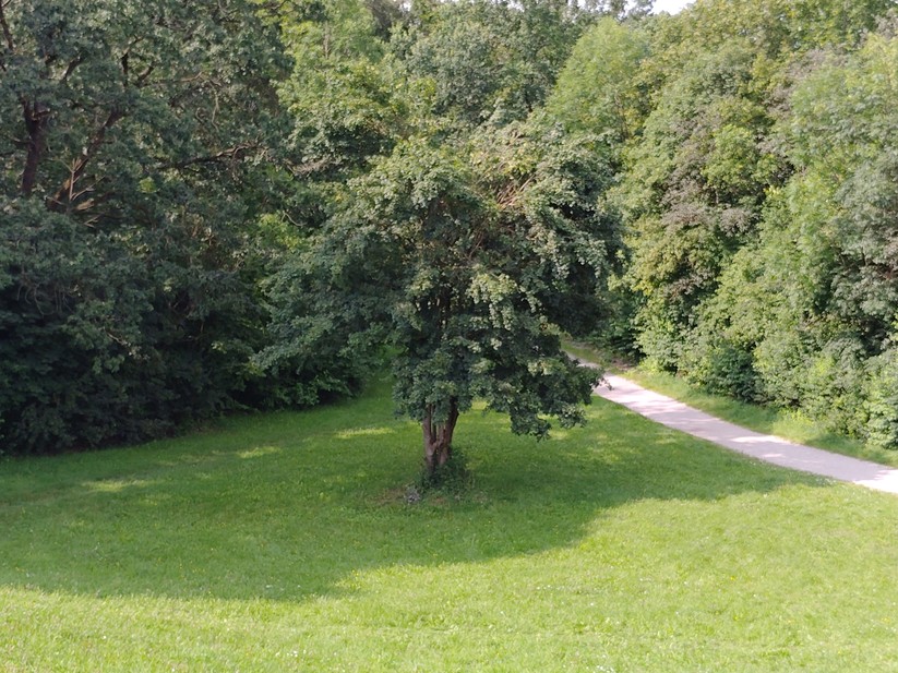 T Phone 2 Pro - Originalaufnahmen