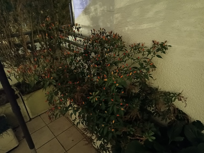 Gigaset GX6 - Originalaufnahmen