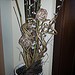 Testfoto aufgezeichnet mit dem Samsung GT-I8750 ATIV S