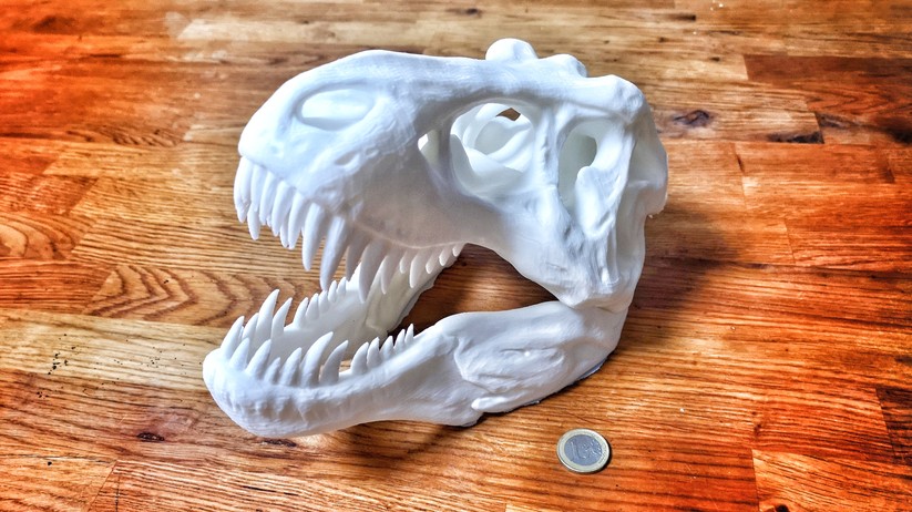 Dieser T-Rex-Schädel wurde in einem durchschnittlich großen Bauraum (Anycubic Vyper) gedruckt.
