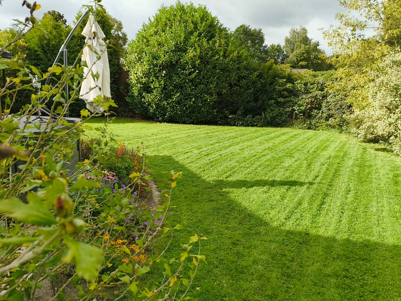 CMF Phone 1 - Originalaufnahmen