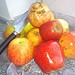 Testfoto geschossen mit einem Sony Ericsson Xperia pro | BestBoyZ