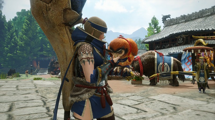 Monster Hunter Rise  15