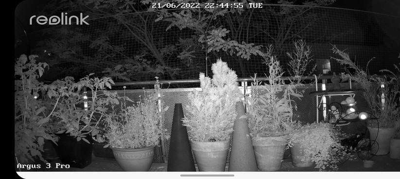 Reolink Argus 3 Pro: Nachtsicht