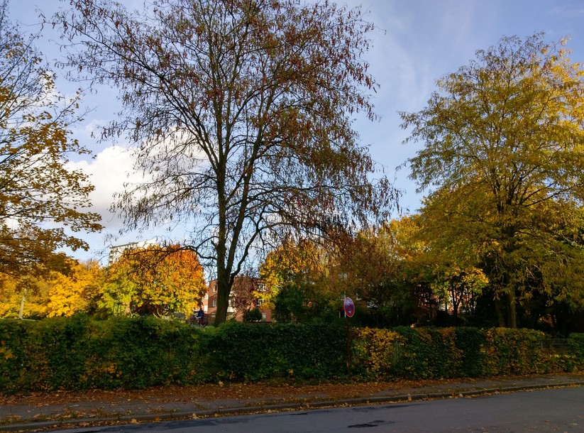 Kamerabilder: HTC One A9 (day light)