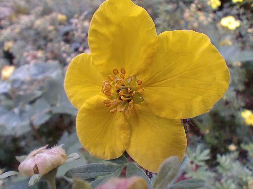 AGM Glory G1S - Originalaufnahmen