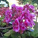 Testfoto geschossen mit einem HTC Wildfire | BestBoyZ