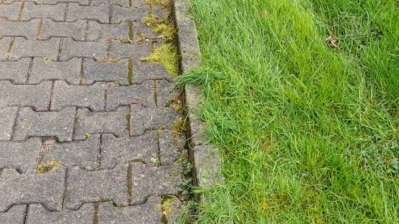 Der Trimmer funktioniert noch nicht perfekt. Aber nach zwei Durchläufen kann sich das Ergebnis sehen lassen. So wenig Nacharbeit an den Kanten bietet bislang kein anderer von uns getester Mähroboter.