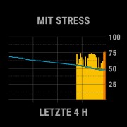  Body Battery mit Stress