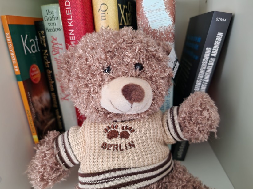 Samsung Galaxy S22 Ultra