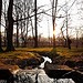 Testfoto geschossen mit einem Samsung GT-I8150 Galaxy W | BestBoyZ