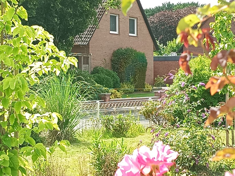 Oukitel WP56 - Originalaufnahmen 