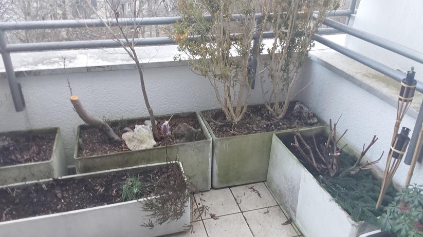 Samsung Galaxy Tab S7 FE