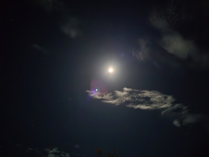 Sony Xperia 10 VII - Originalaufnahmen