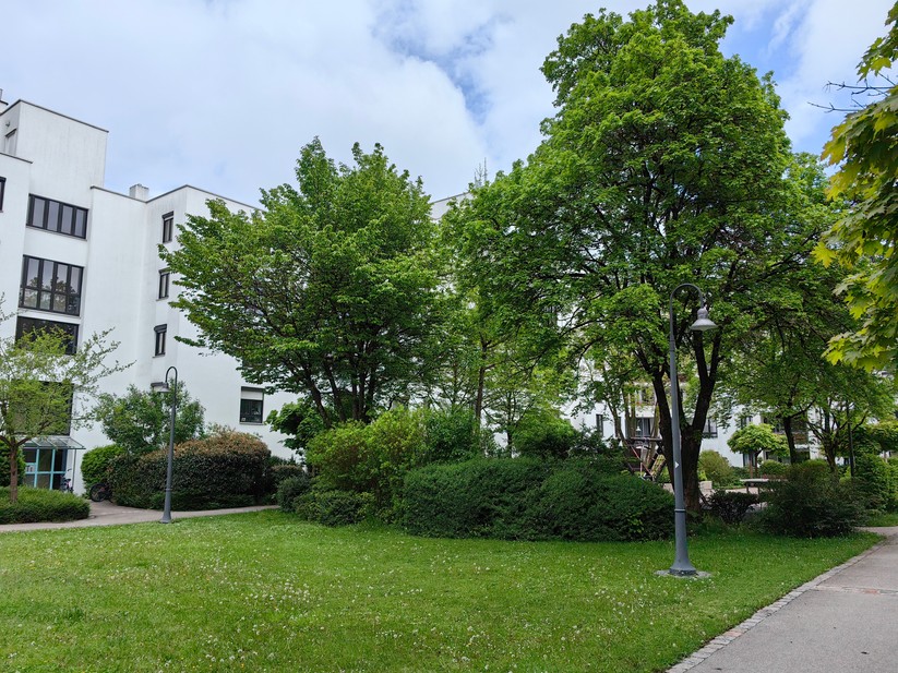 Huawei P60 Pro - Originalaufnahmen