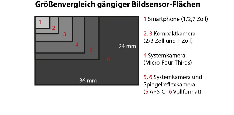 Ein Größenvergleich der gängigen Bildsensoren. Kompaktkameras nutzen in der Regel Bildsensoren ab 2/3 Zoll, die Spitzenmodelle ab einem Zoll Diagonale.