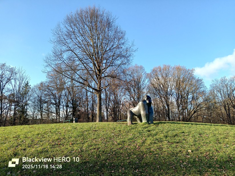 Blackview Hero 10 - Originalaufnahmen