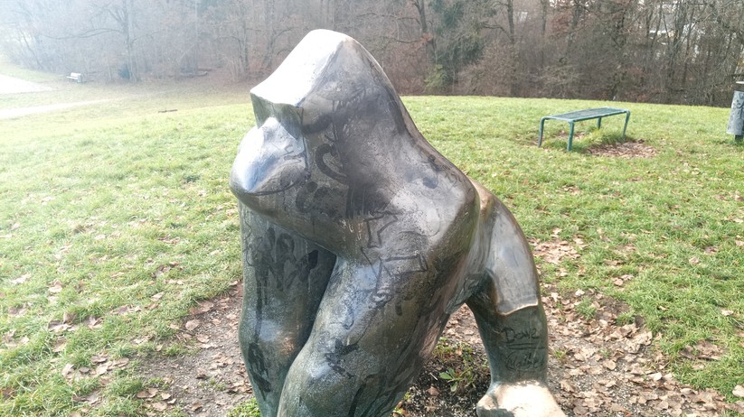 Blackview BV7100 - Originalaufnahmen