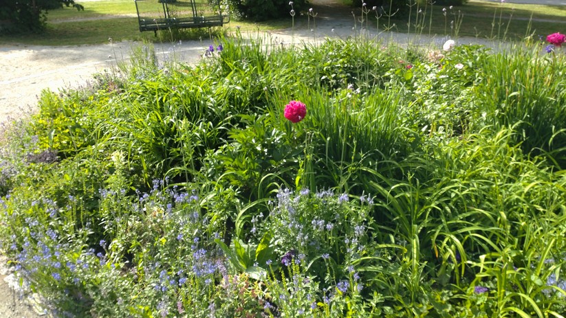 Fotos des Sony Xperia 10 III