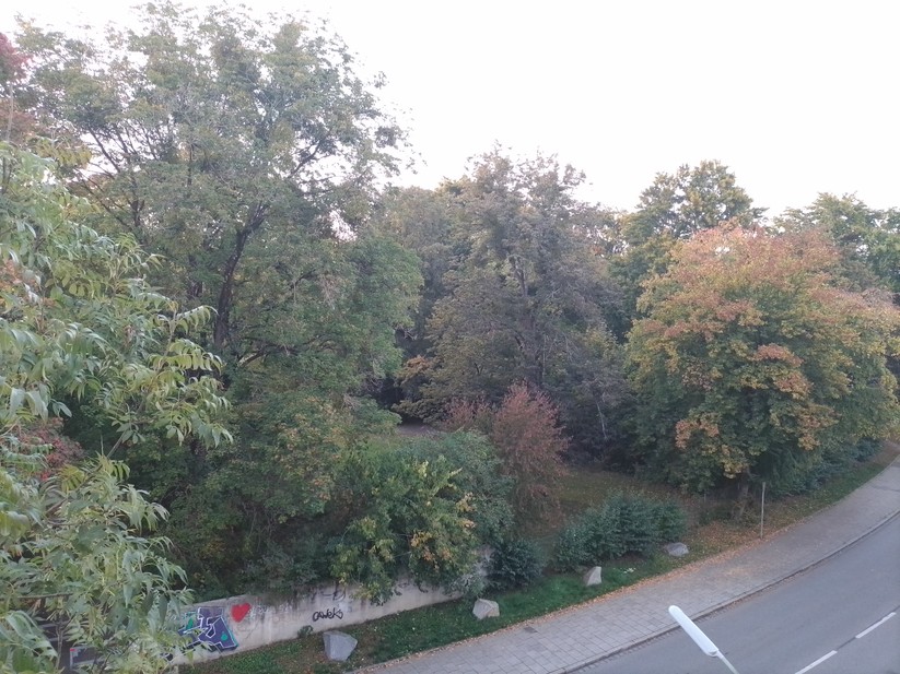 Fotos mit dem ZTE Blade V30 Vita