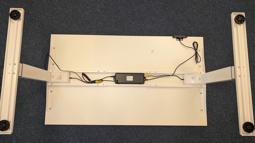 Assmann Y-Line