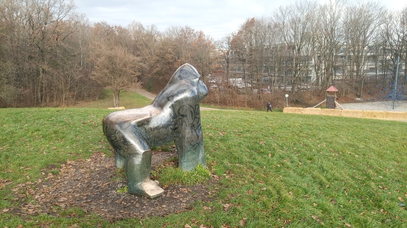 Blackview BV7100 - Originalaufnahmen