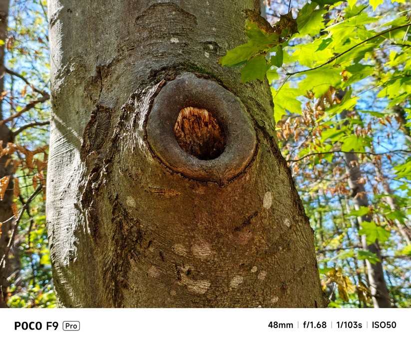 Xiaomi Poco F9 Pro: Hauptkamera mit 2x Zoom
