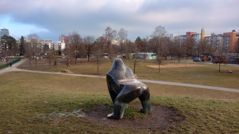 Motorola Moto G31: Originalaufnahmen