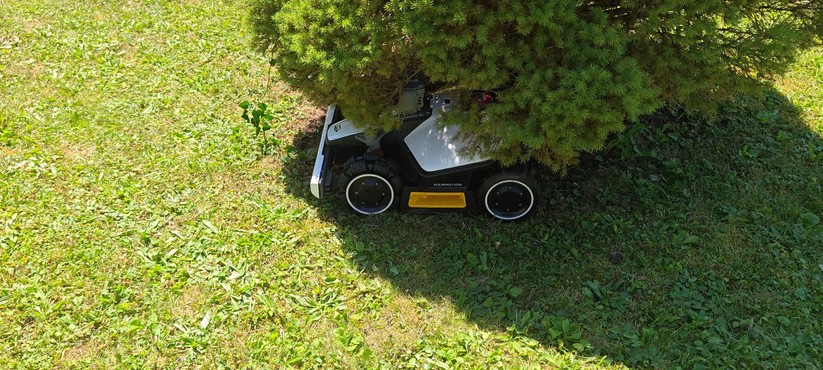Mammotion Luba Mini AWD Lidar im Einsatz: Unter Bäumen und Sträuchern mäht der Mähroboter erst, wenn die Hinderniserkennung ausgeschaltet ist.