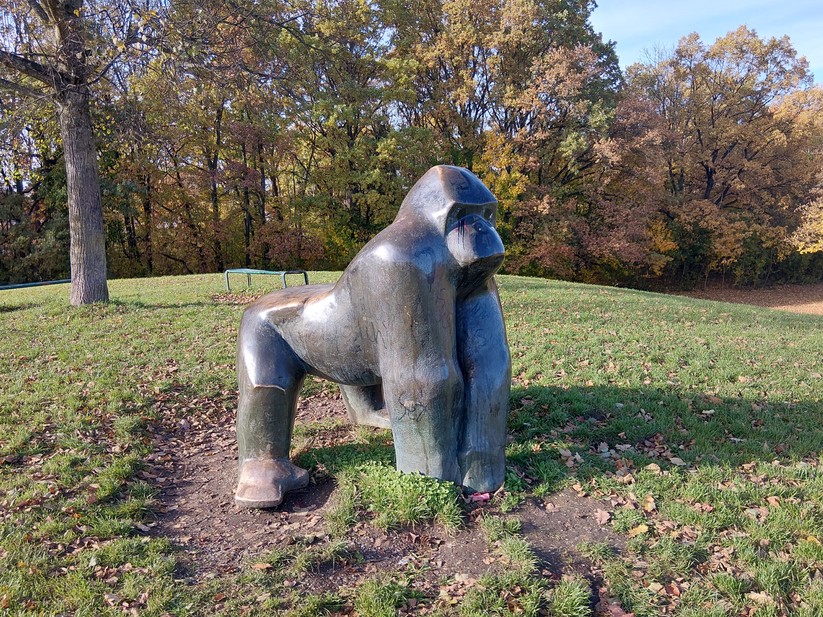 Samsung Galaxy Xcover 7 Pro – Originalaufnahmen