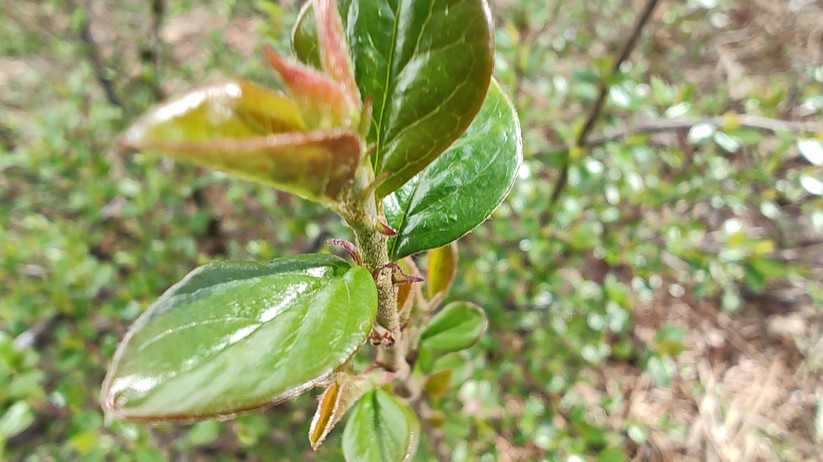 Motorola Edge 30 Pro - Originalaufnahmen