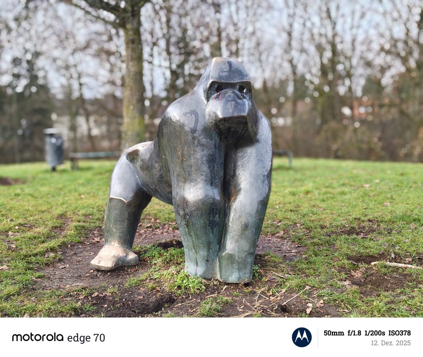 Motorola Edge 70 - Originalaufnahmen