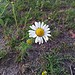 Testfoto geschossen mit einem Samsung GT-I9100 Galaxy S II | BestBoyZ