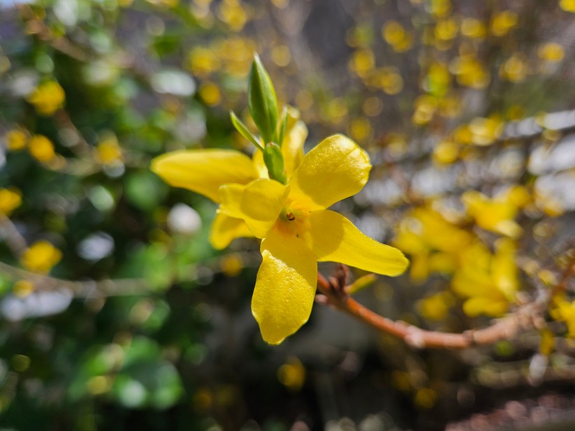 Samsung Galaxy Z Fold 5 - Originalaufnahmen 