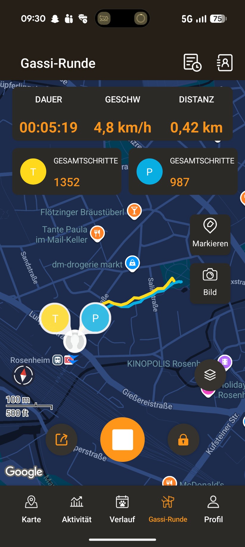 Pawfit 3 – Bilderstrecke