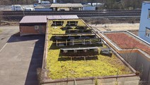 Der Anblick einer Mini-PV-Anlage ist inzwischen keine Seltenheit mehr.