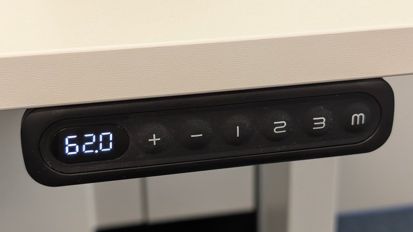Assmann Y-Line