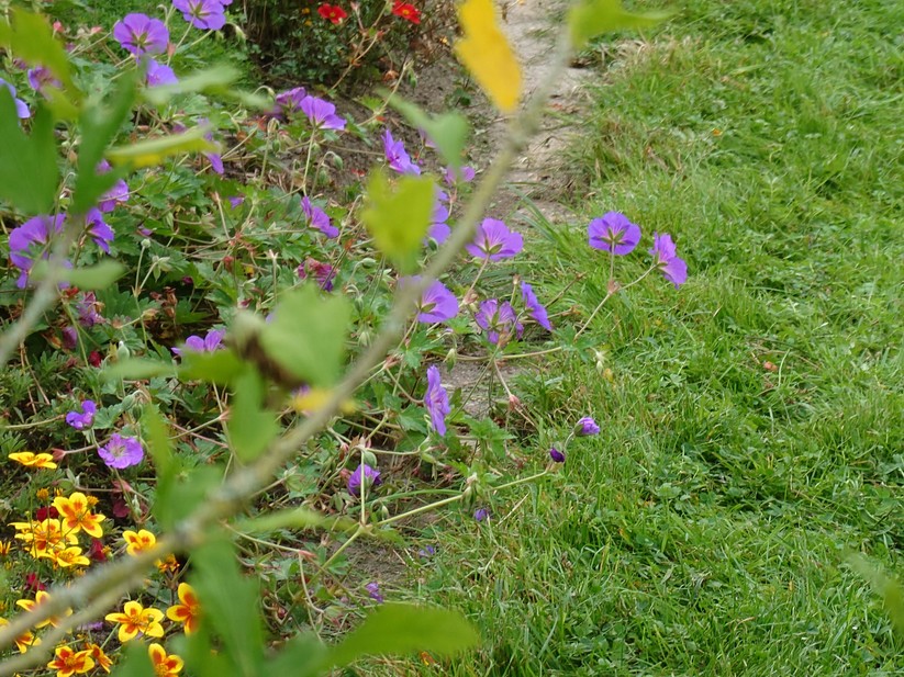 Sony Xperia 1 VII - Originalaufnahmen 