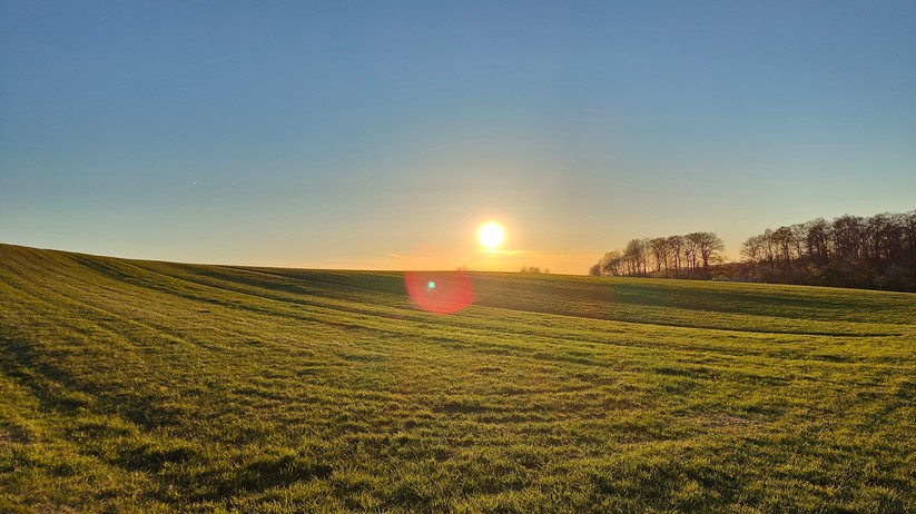 Realme GT 2 Pro - Originalaufnahmen 