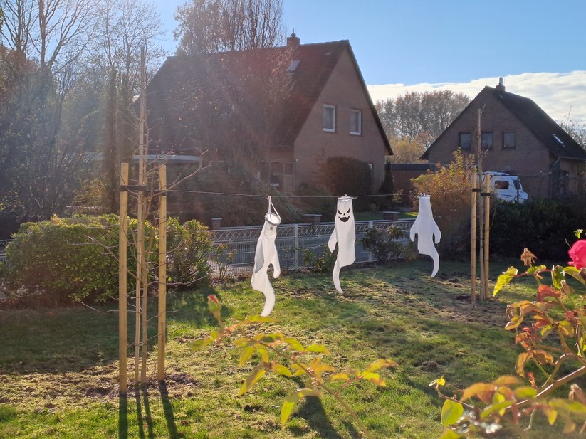 Samsung Galaxy A33 5G