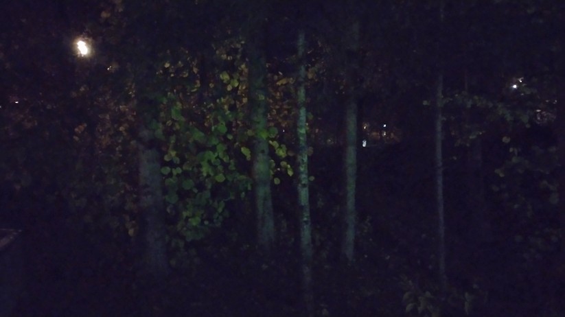 Nokia G60 5G - Originalaufnahmen