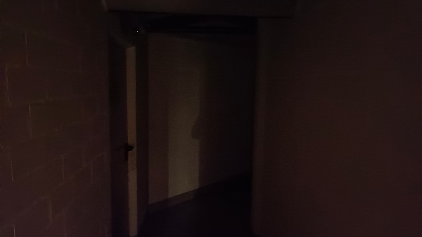 Fotos mit dem Vivo Y72 5G